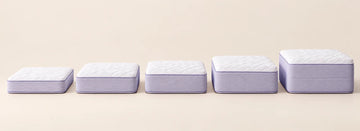 Los cinco colchones Calm de perfil, ordenados por altura: Lite 22 cm, Hybrid Core 25 cm, Original 28 cm, Hybrid Select 30 cm y Ultra Lux 35 cm